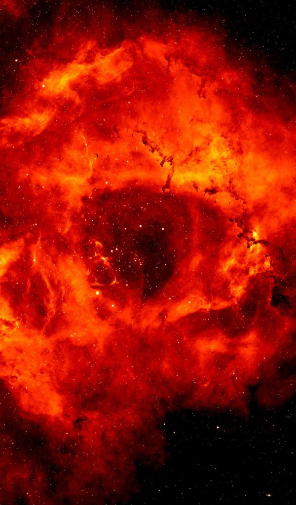 Туманность розетки