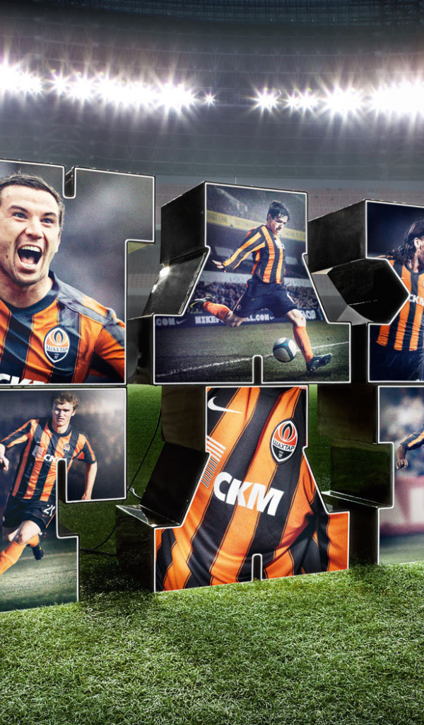 Футбольный клуб Шахтер Донецк