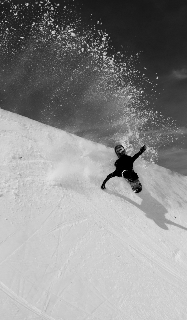 Сноубординг