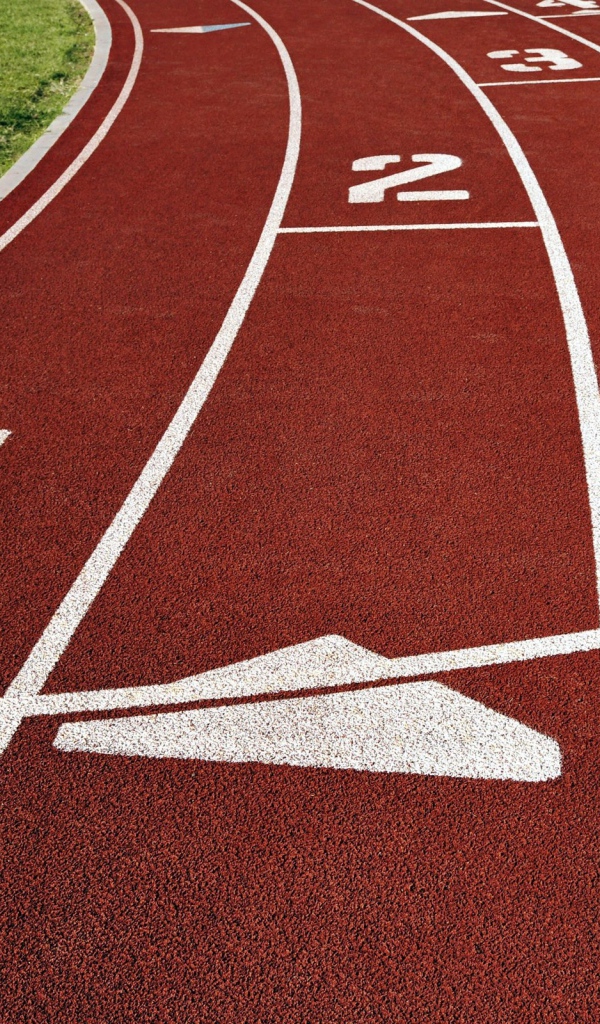 Беговая дорожка