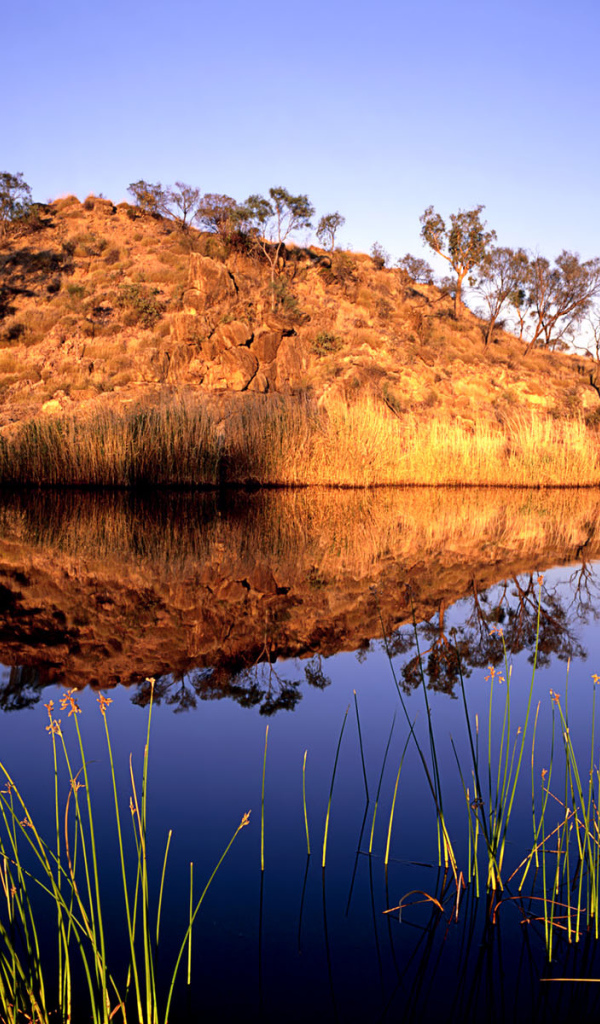 Река в Австралии
