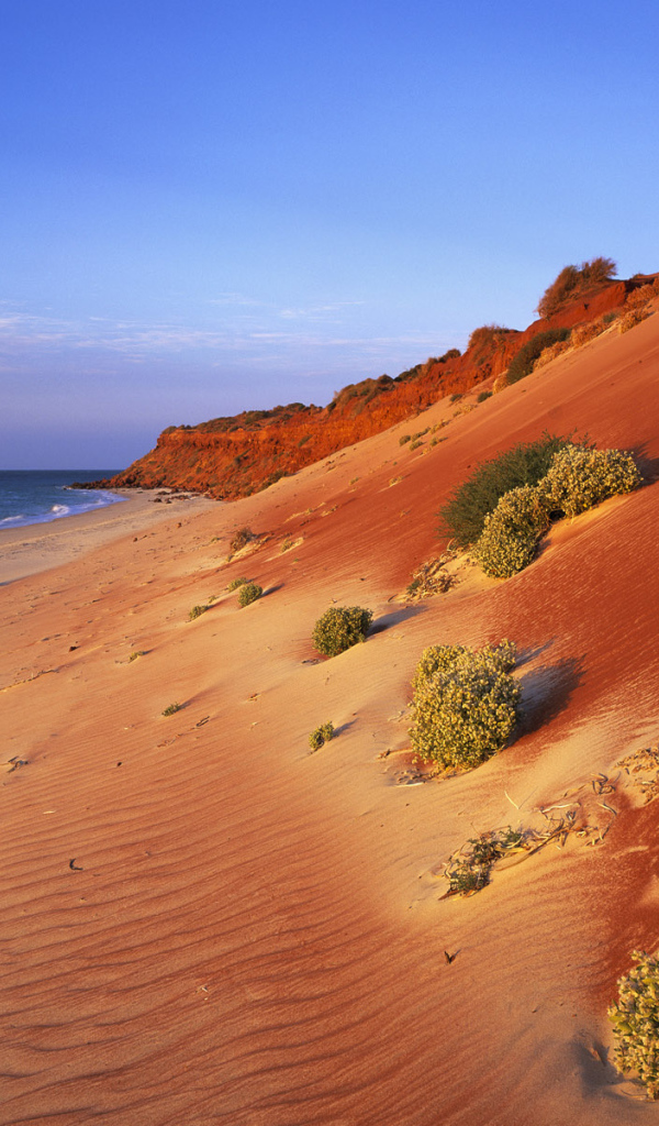 Песчаное побережье Австралии