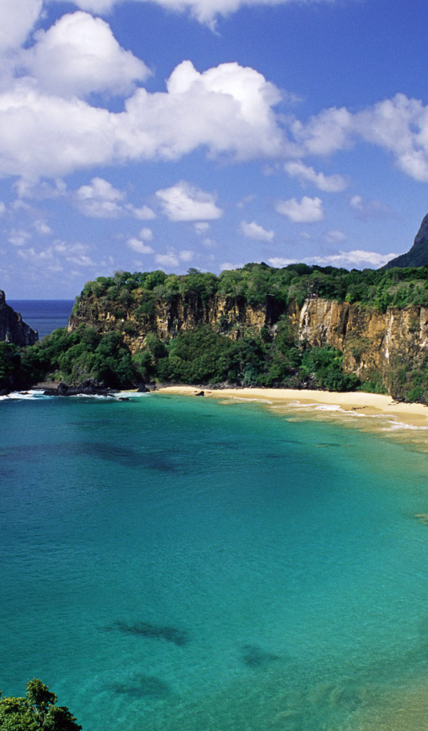 Дикий пляж в Бразилии