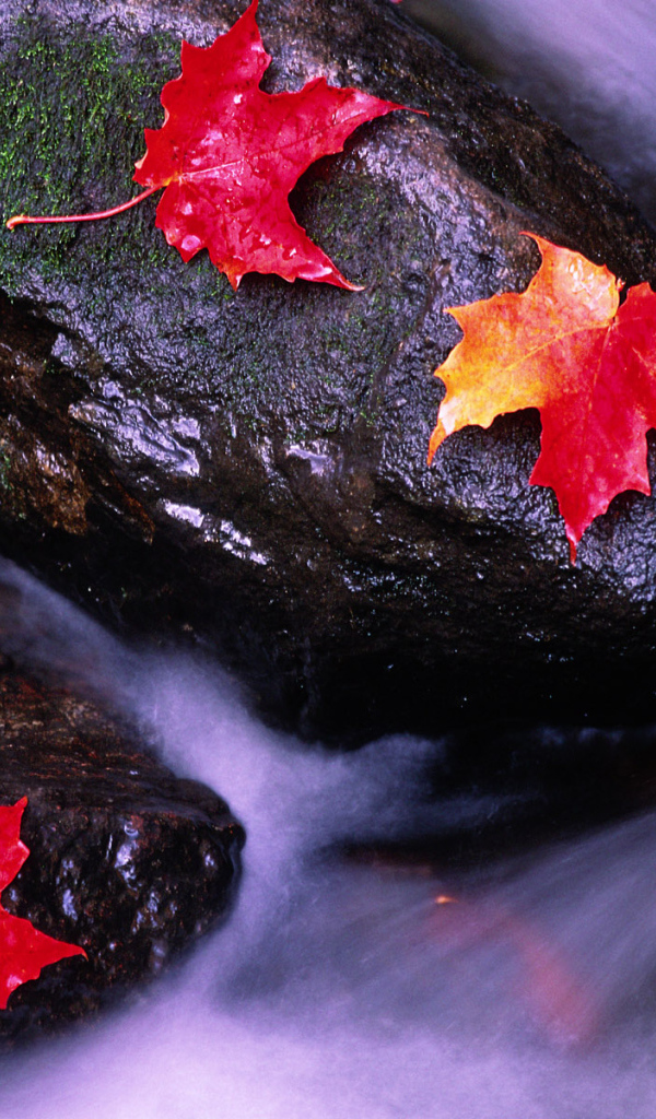 Реки Канады