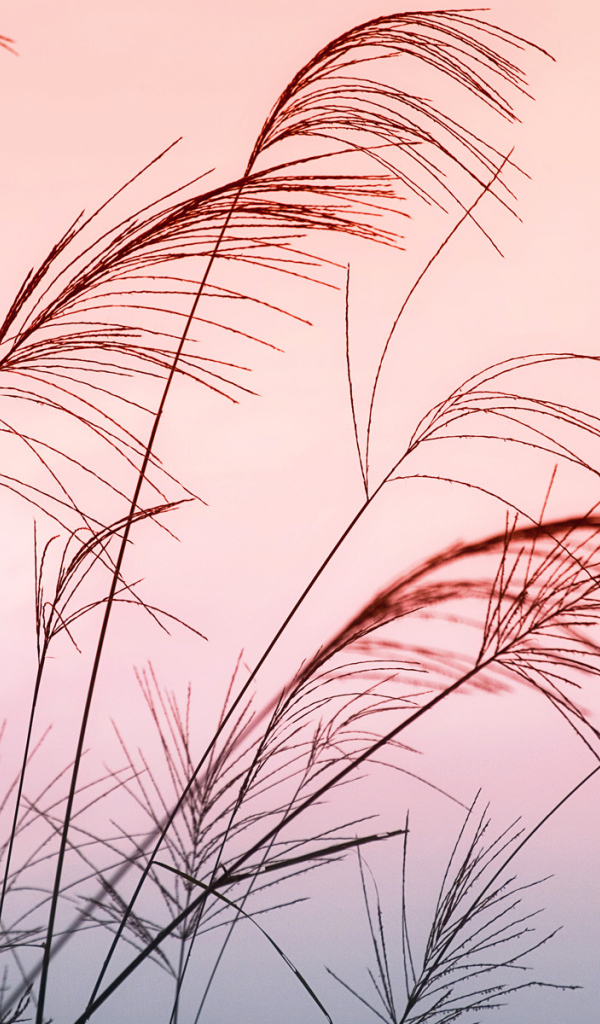 Солнечный закат в Китае