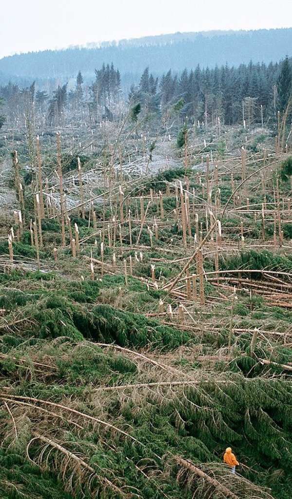 После урагана во Франции