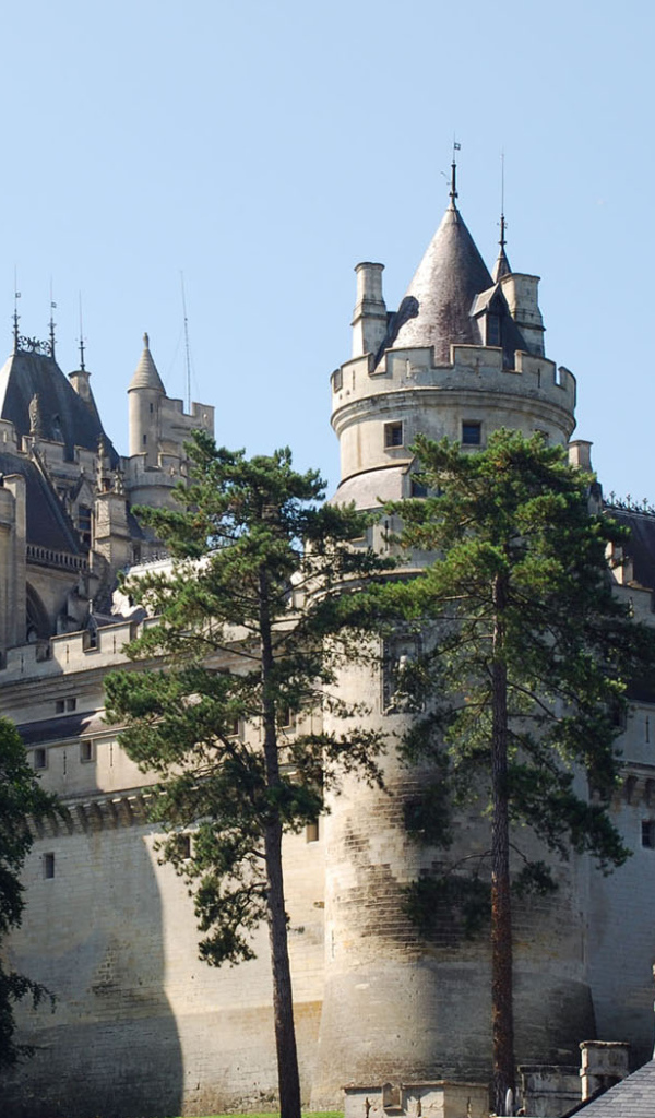 Большой замок во Франции