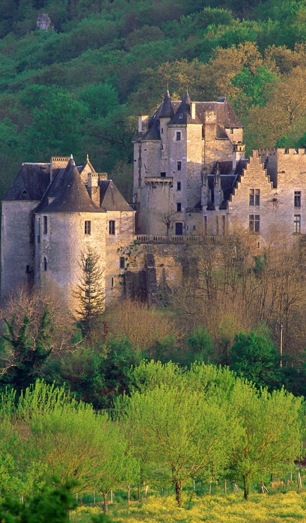 Поместье Fayrac