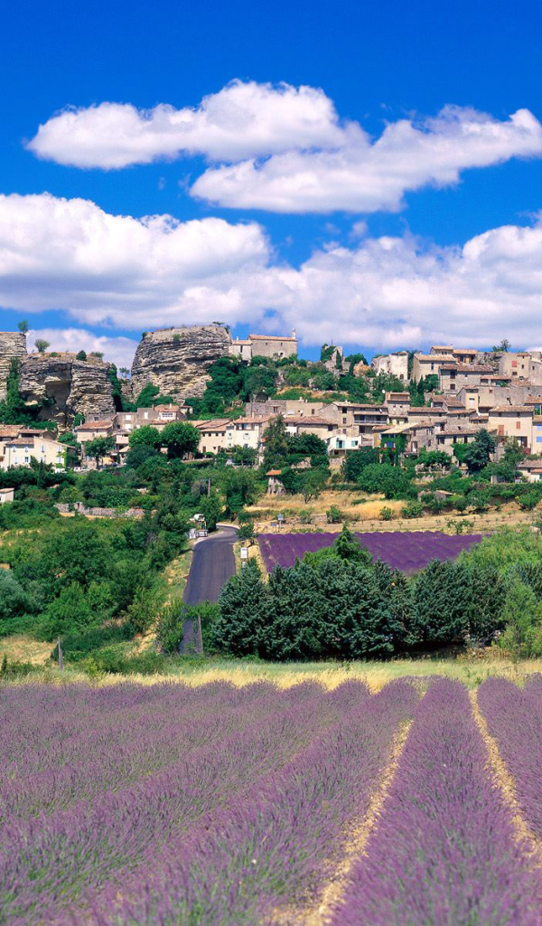 Провинция во Франции