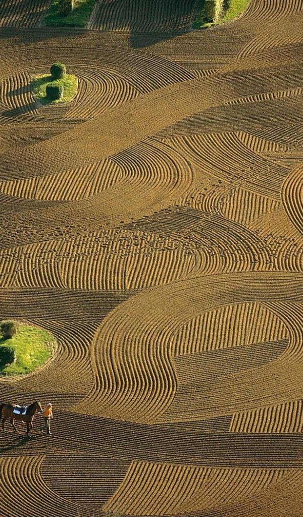 Лошадиная арена Франция