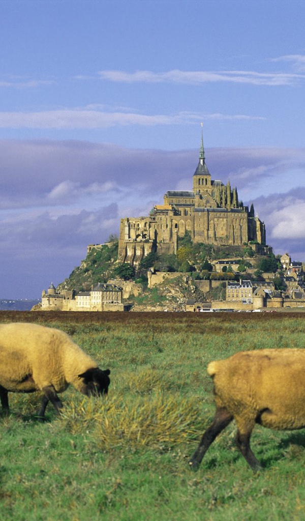 Огромный французский замок