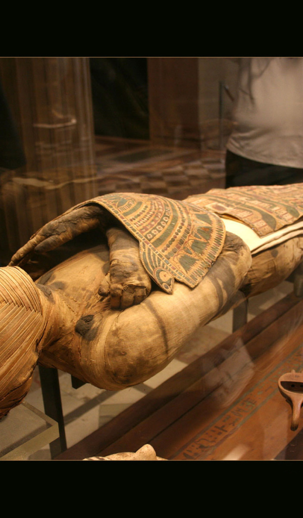 Мумия в Лувре