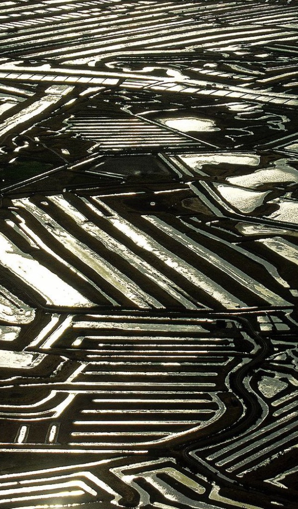 Устричные фермы