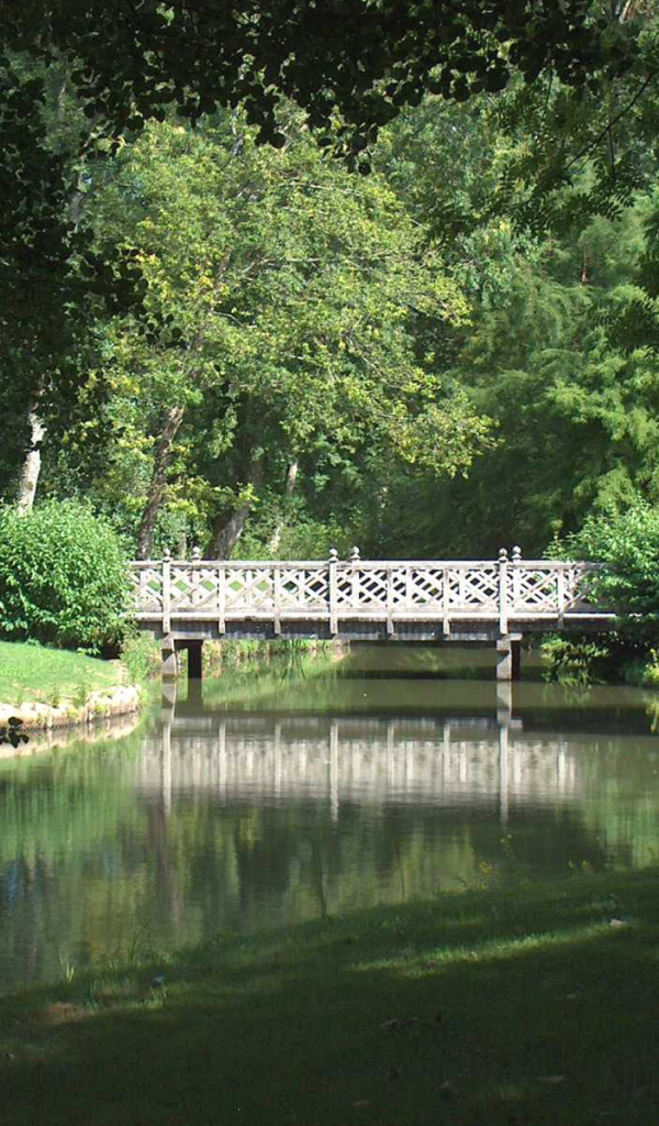 Мостик в парке