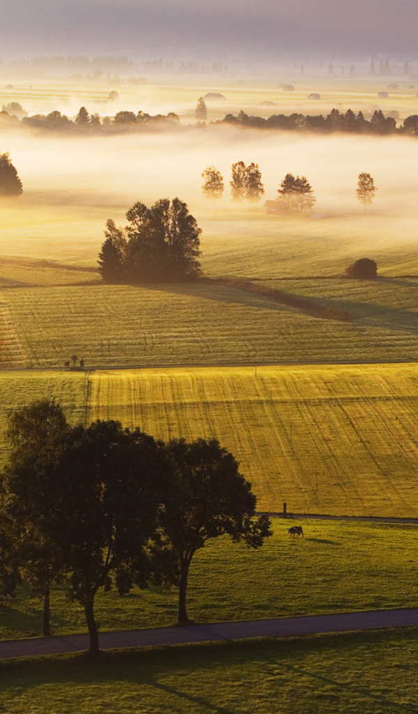 Поля в Германии