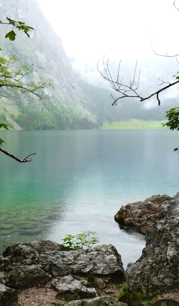 Природа Баварии