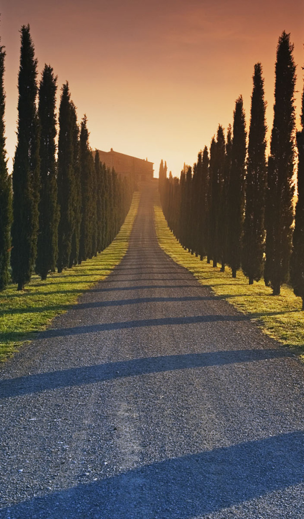 The road to the Italian estate