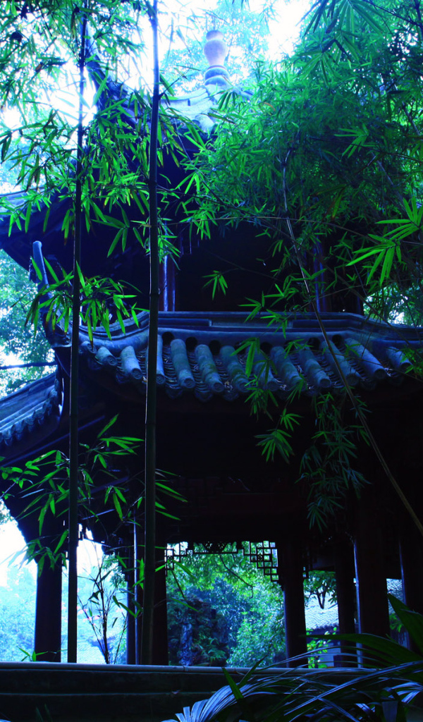 В японском саду