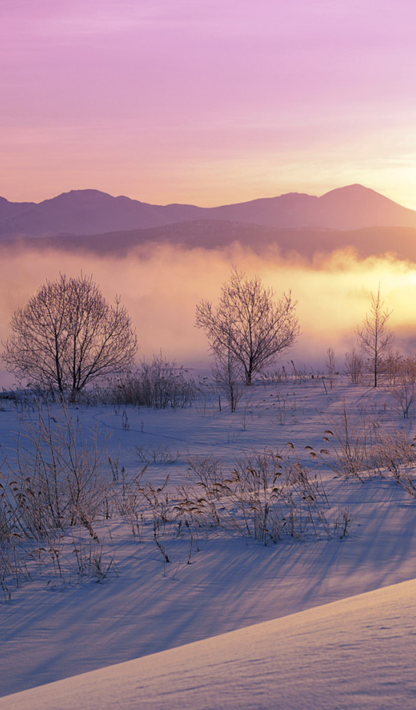 Зима в Японии