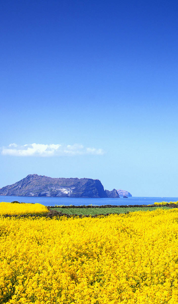 Природа Кореи