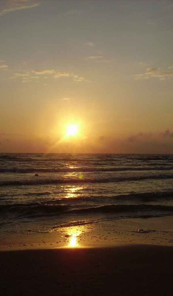 Паланга Балтийское море