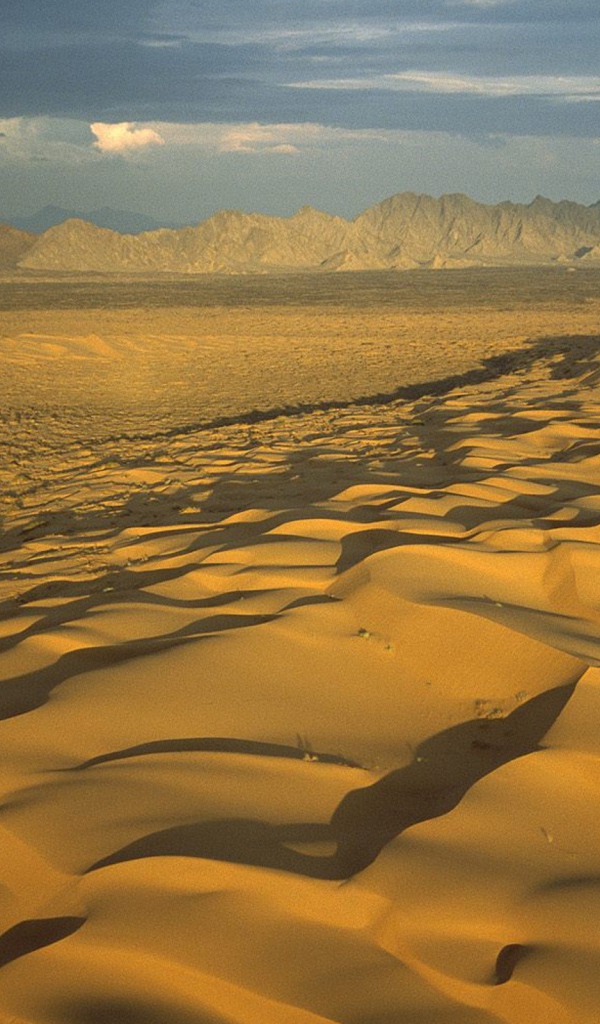 Мексиканская пустыня