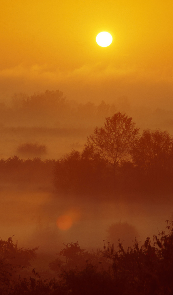 Туман на закате