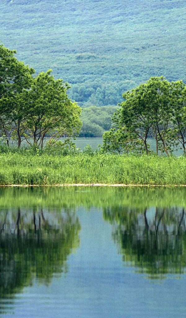 Природа России