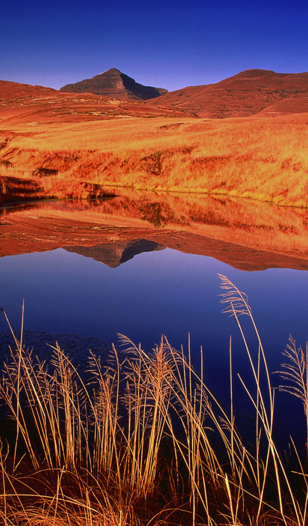 Небольшое озеро