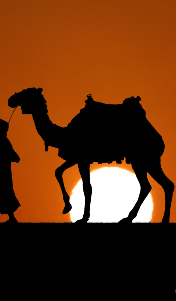 Путешественник