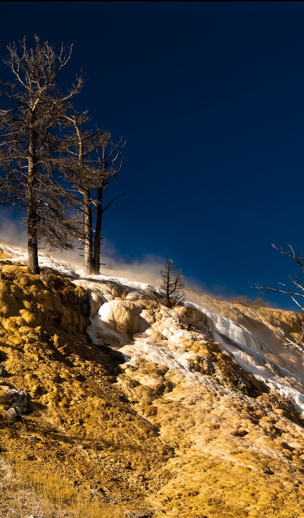 Природа в Йеллоустоуне США