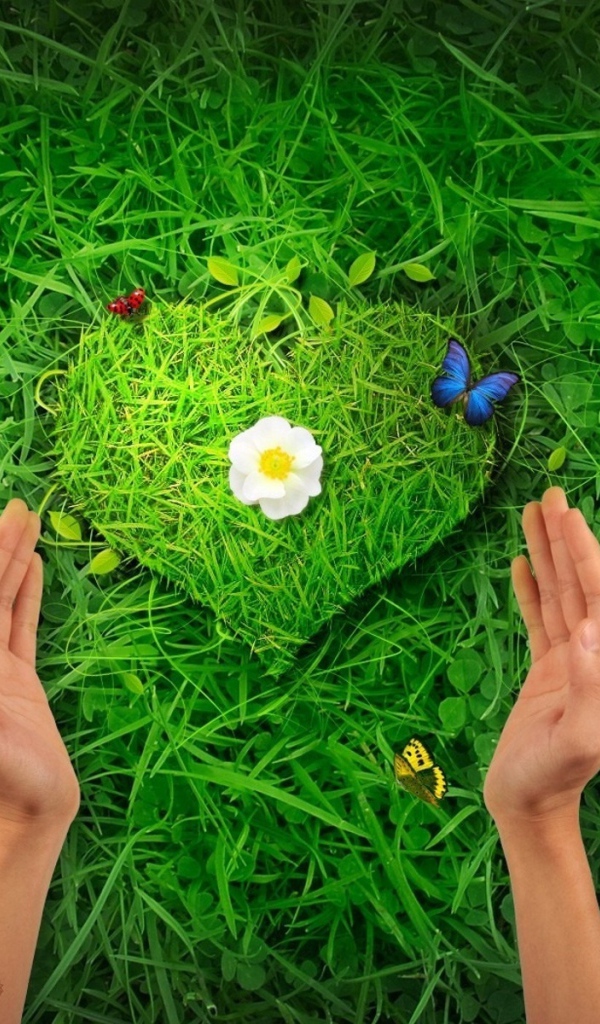 Травяное сердце