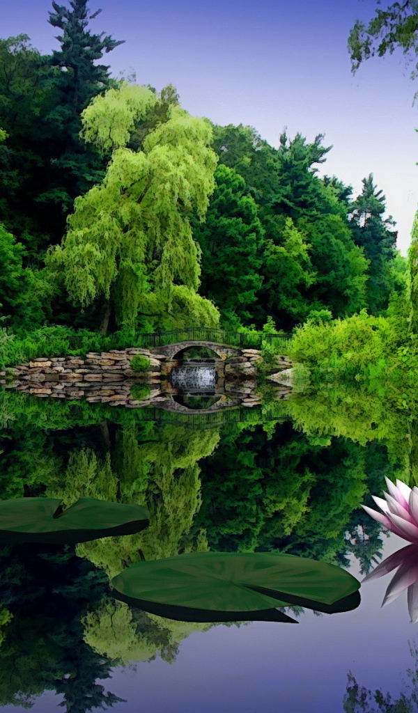 Пруд с кувшинками