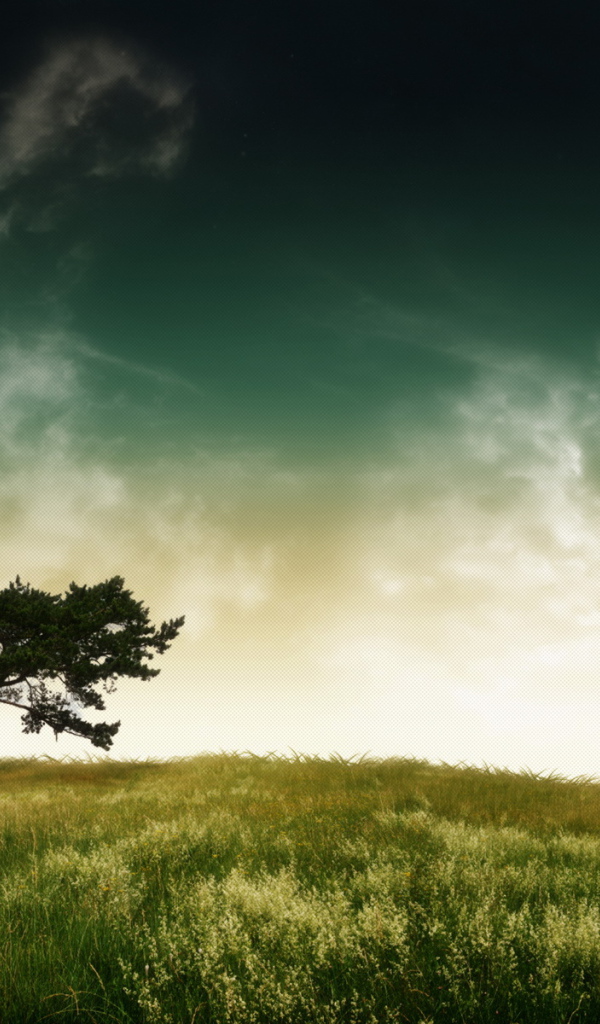 Дерево, небо, планета