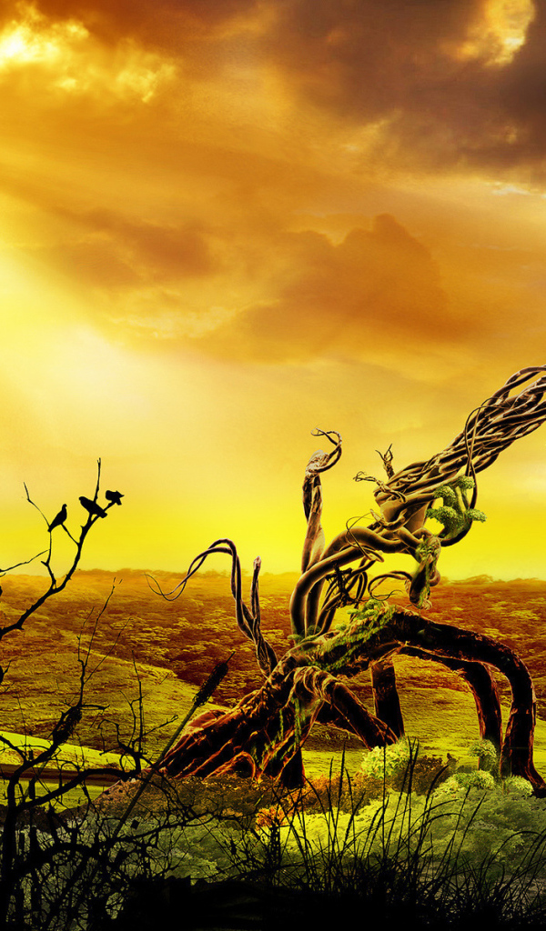 Дерево и птицы