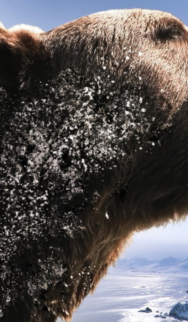 Рычащий медведь