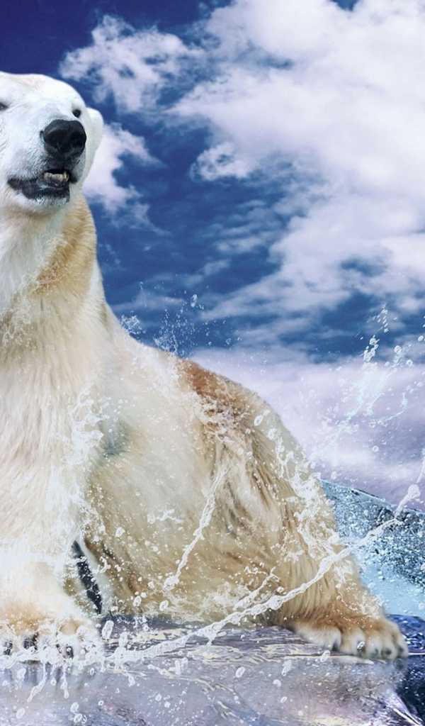 Белый медведь на льду