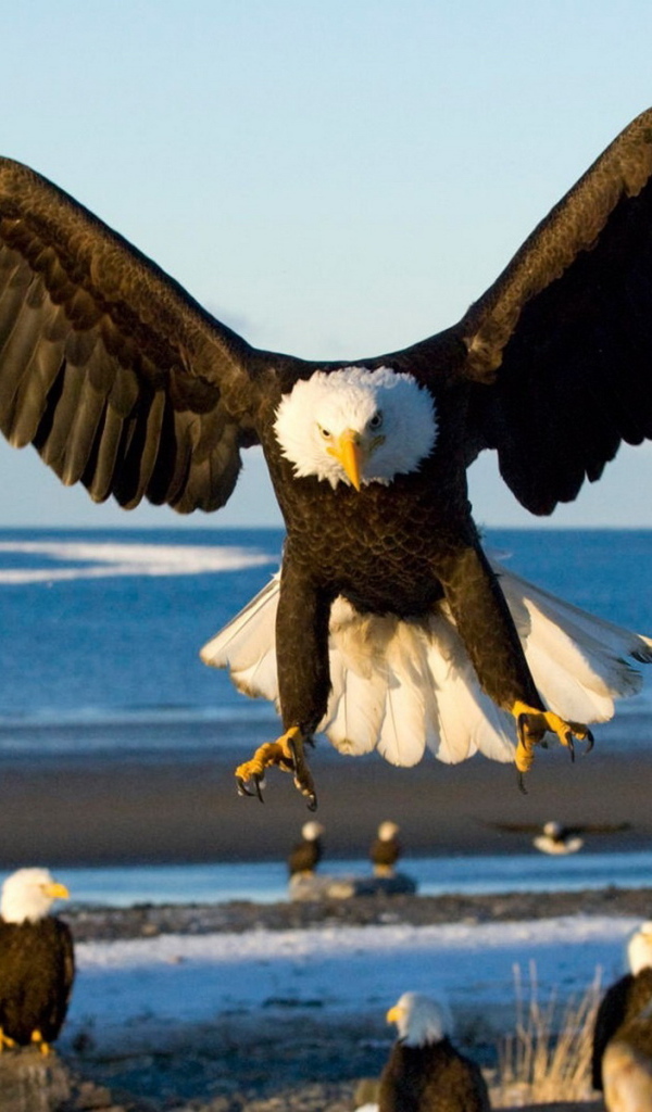 Грозный орел