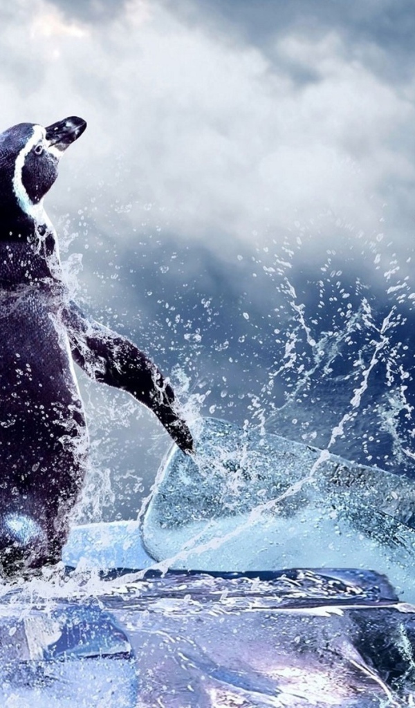 Два пингвина