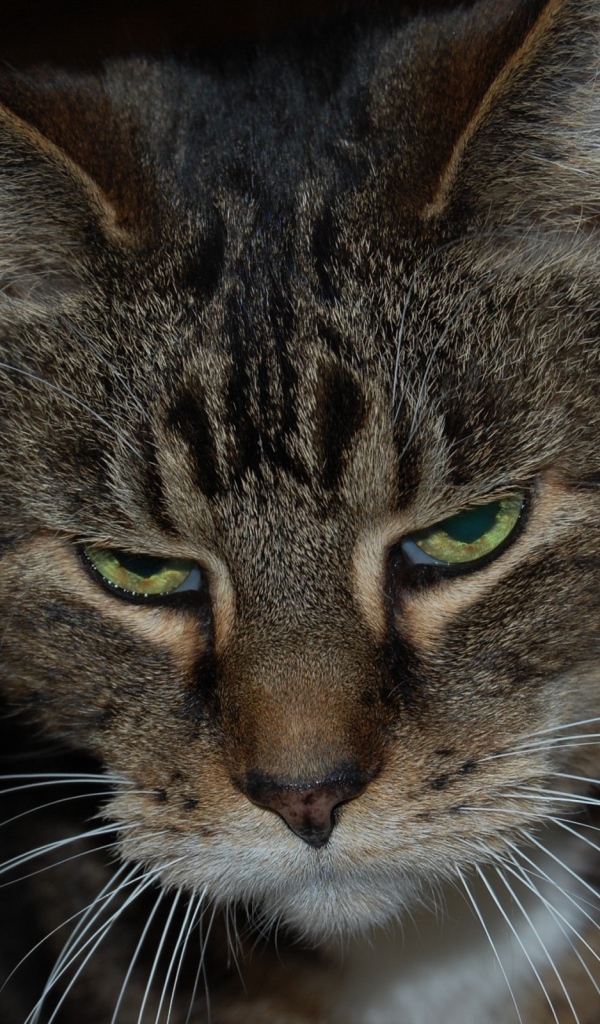 Весна сводит меня с ума