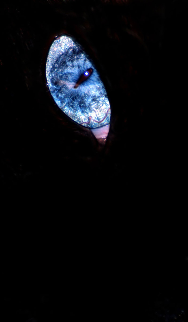 Эти глаза напротив