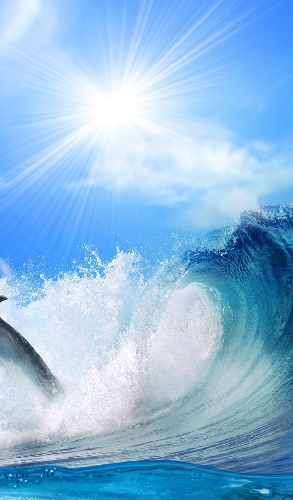 Дельфин перед волной