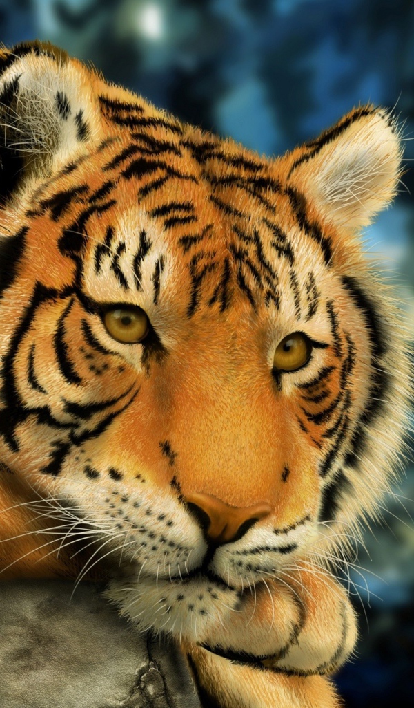 Взгляд тигра