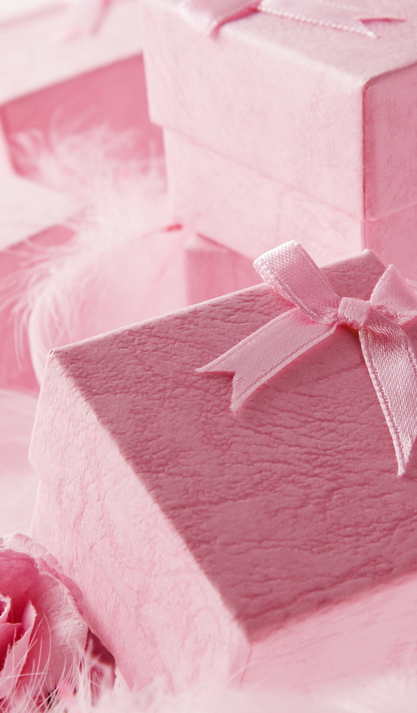 Долгожданные подарки