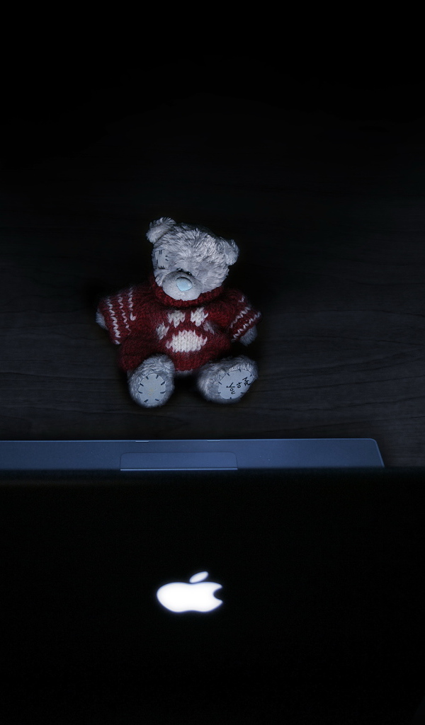 Мишка и ноутбук