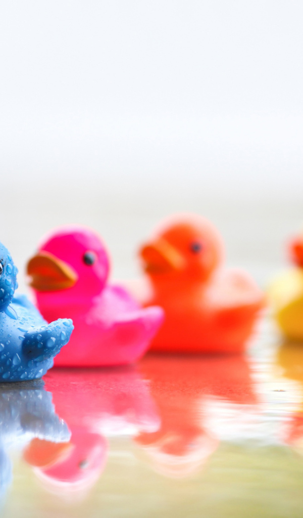 Цветные уточки