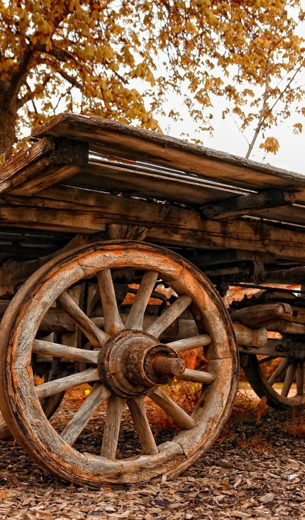 Старая телега