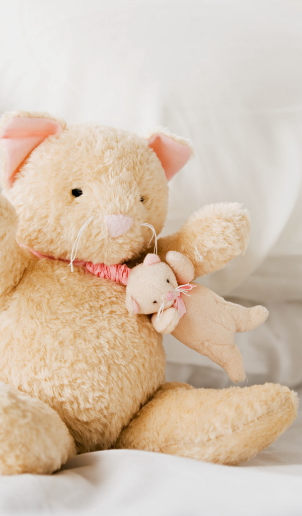 Плюшевые кошка и мышка