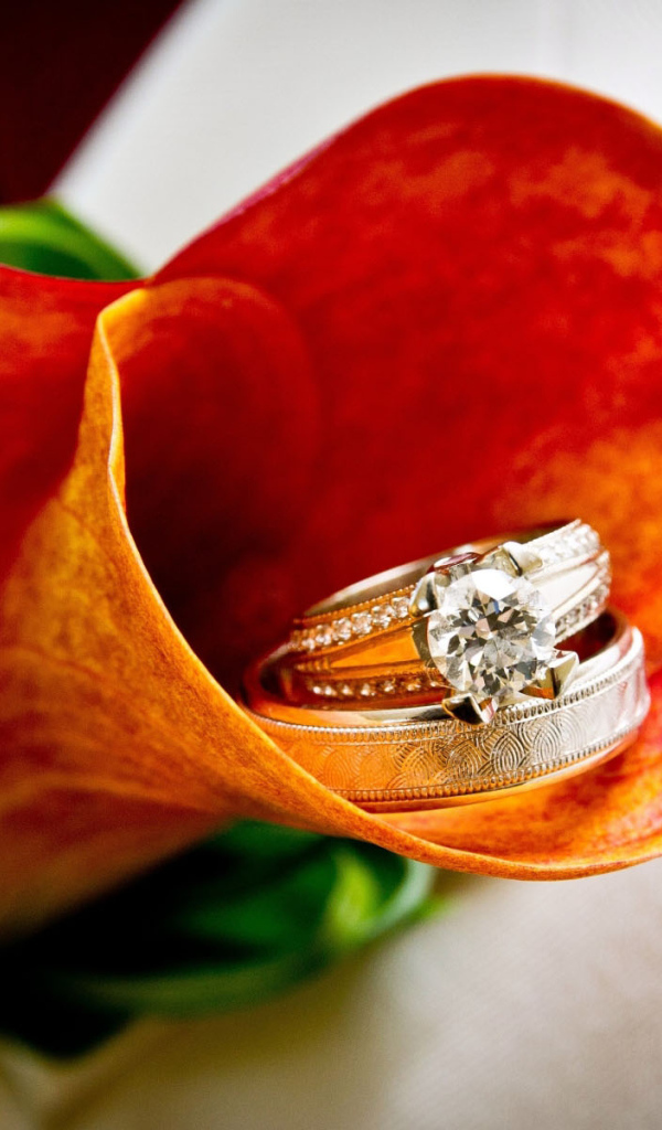 Кольца в цветке