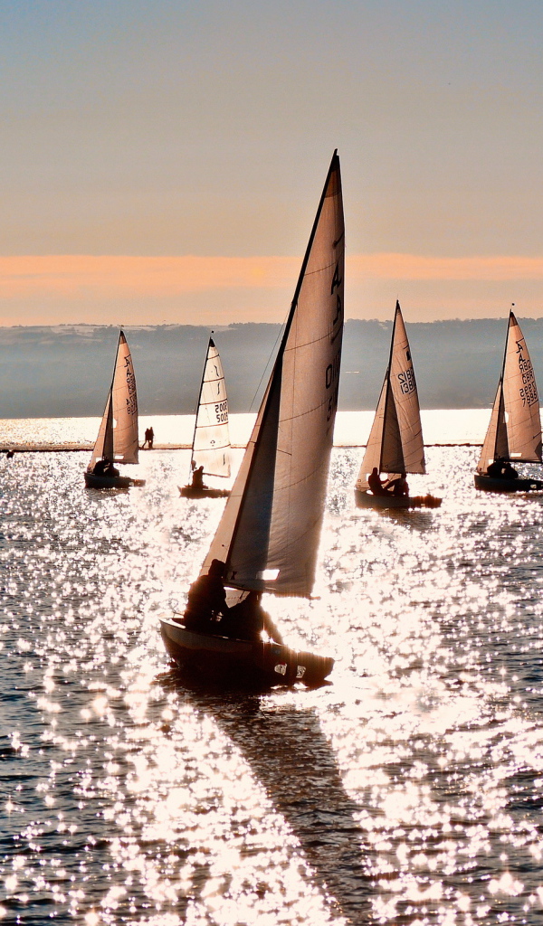 Парусники в море